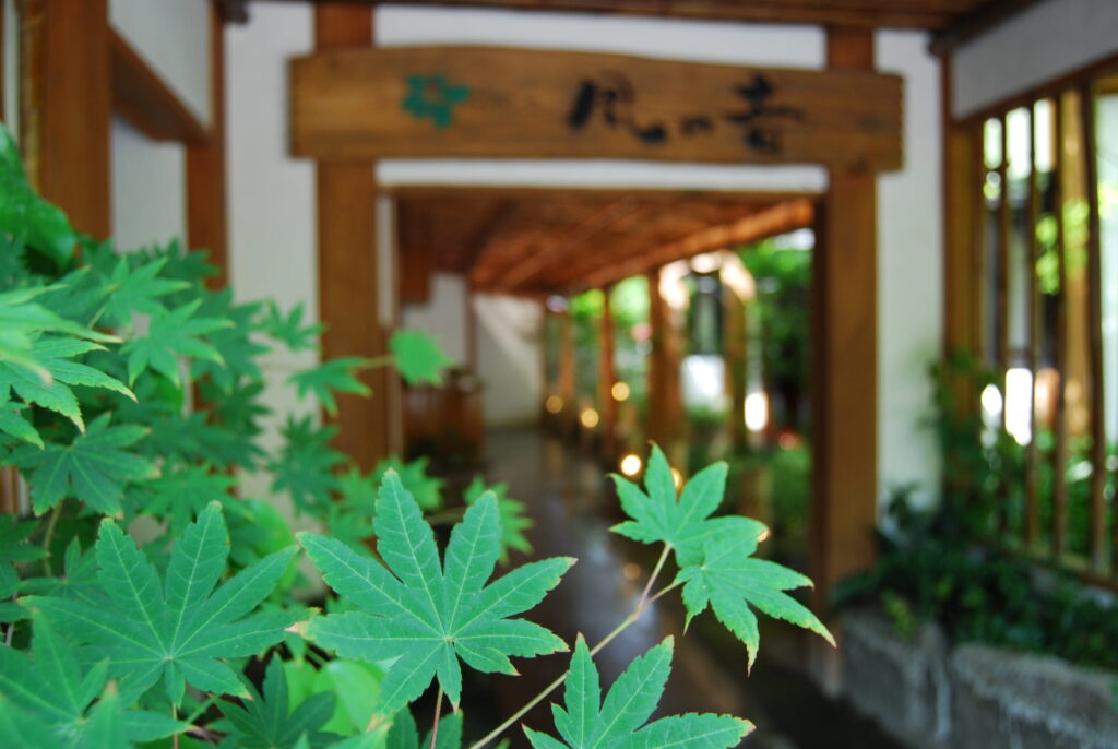 宿泊プランの写真(大分県九重町)