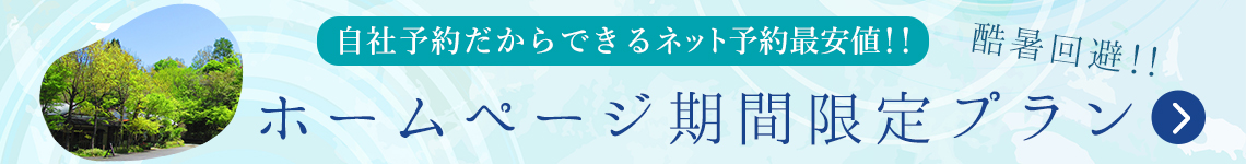 限定プラン